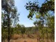 1315 Leonino Road, Darwin River NT 0841