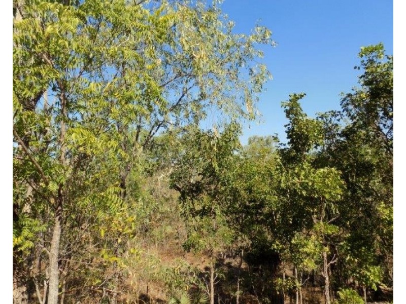 1315 Leonino Road, Darwin River NT 0841