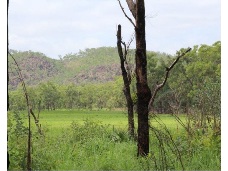 Adelaide River NT 0846
