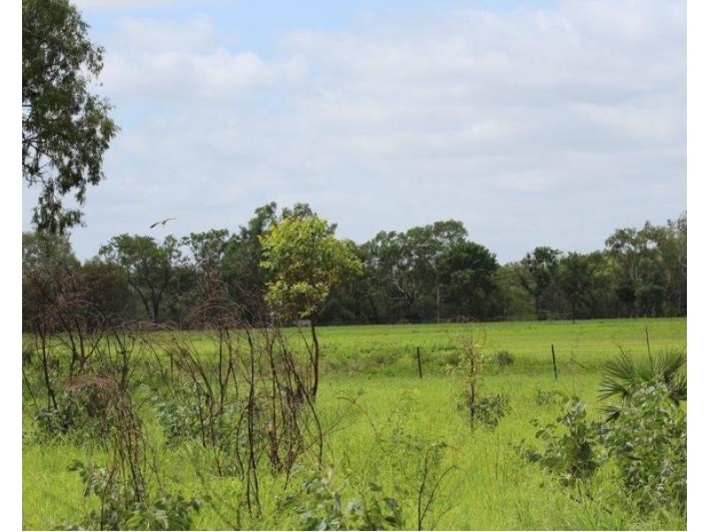 Adelaide River NT 0846