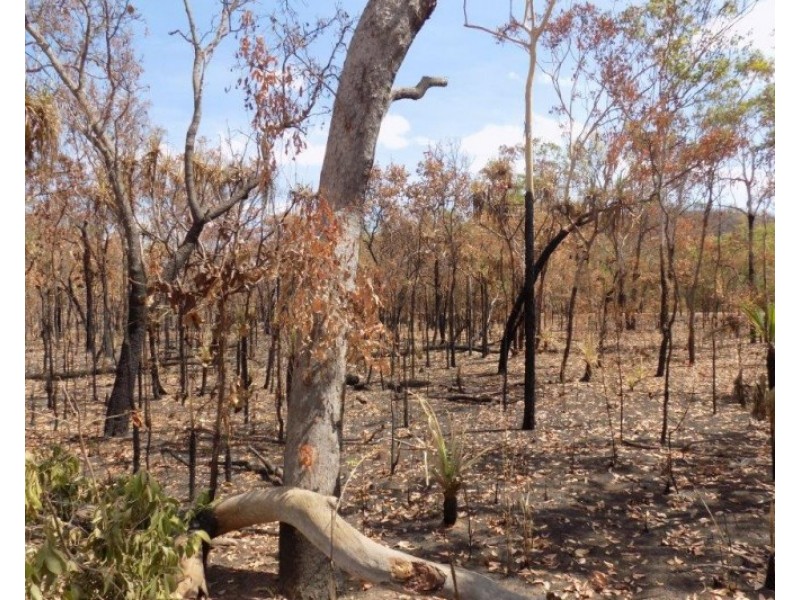 Adelaide River NT 0846