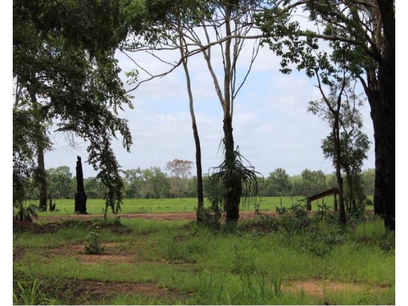 Adelaide River NT 0846