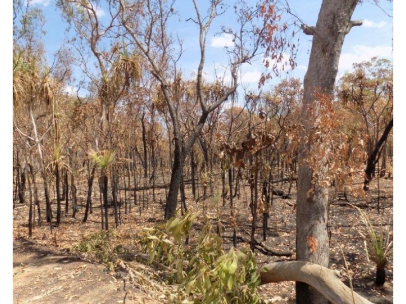 Adelaide River NT 0846
