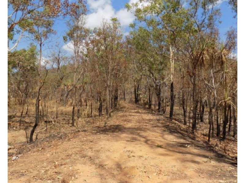 Adelaide River NT 0846