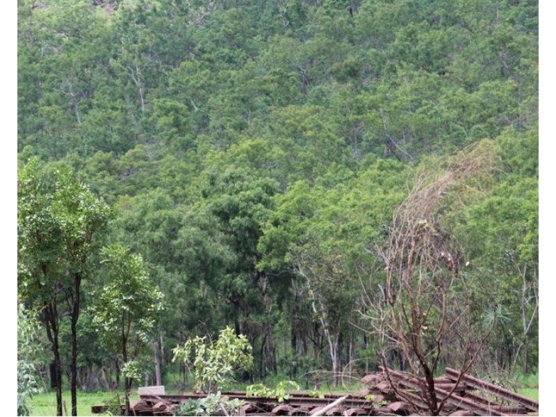 Adelaide River NT 0846