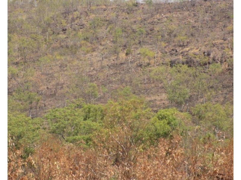 Adelaide River NT 0846