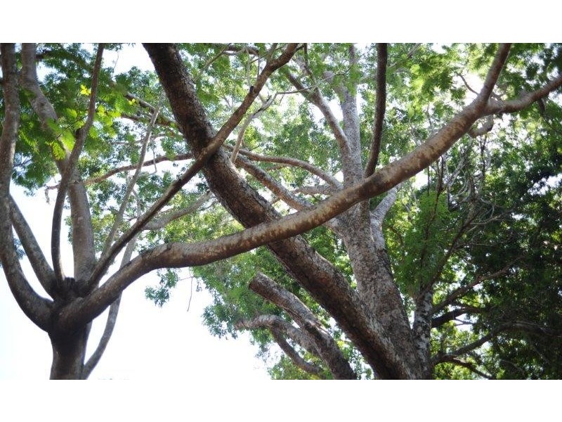 21 Mardango Street, Batchelor NT 0845