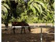 1055 Livingstone Road, Berry Springs NT 0838