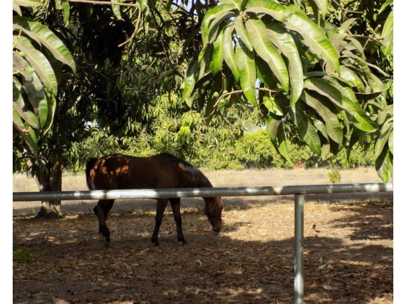 1055 Livingstone Road, Berry Springs NT 0838