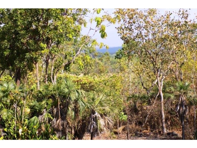 50 Guys Creek Road, Acacia Hills NT 0822