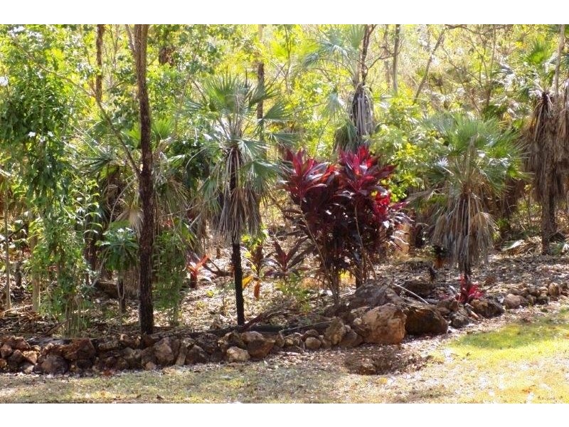 50 Guys Creek Road, Acacia Hills NT 0822