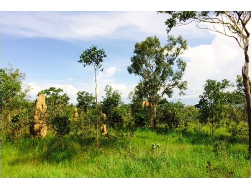 430 Peacock Road, Darwin River NT 0841