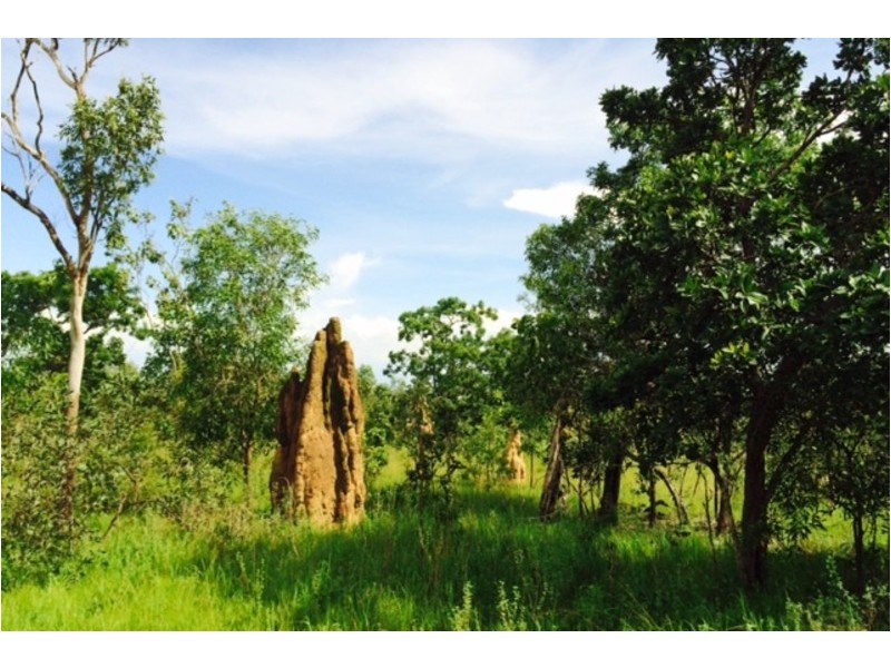 430 Peacock Road, Darwin River NT 0841