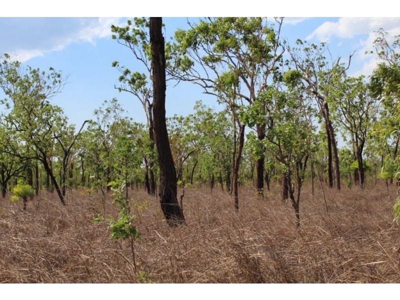 226 Northstar Road, Acacia Hills NT 0822