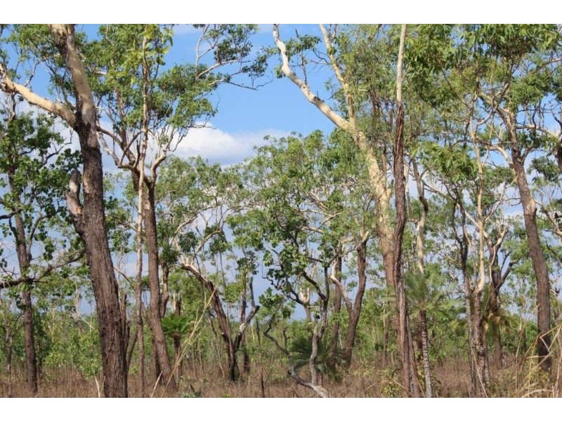 226 Northstar Road, Acacia Hills NT 0822