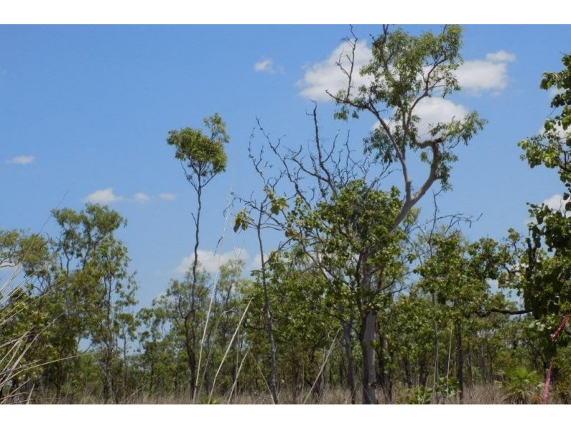 226 Northstar Road, Acacia Hills NT 0822