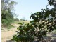 112 Cox Drive, Wagait Beach NT 0822