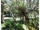 112 Cox Drive, Wagait Beach NT 0822