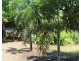 112 Cox Drive, Wagait Beach NT 0822