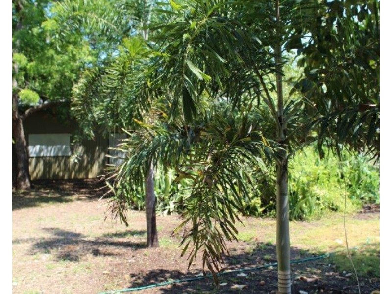 112 Cox Drive, Wagait Beach NT 0822