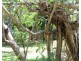 112 Cox Drive, Wagait Beach NT 0822