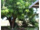 112 Cox Drive, Wagait Beach NT 0822