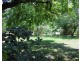 112 Cox Drive, Wagait Beach NT 0822
