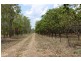 89 Lowther Road, Bees Creek NT 0822