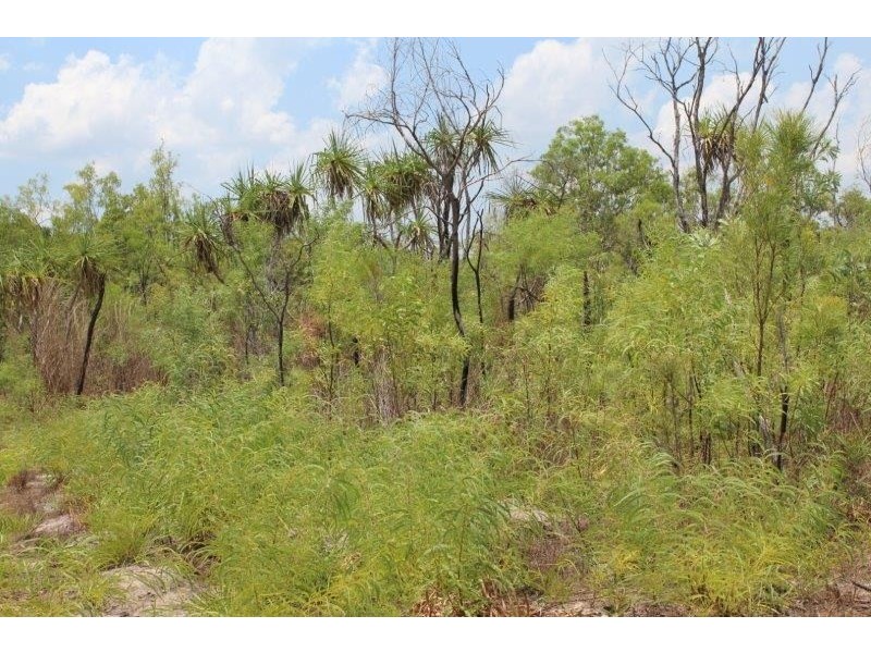 89 Lowther Road, Bees Creek NT 0822
