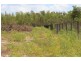 89 Lowther Road, Bees Creek NT 0822