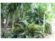 710 Leonino Road, Fly Creek NT 0822