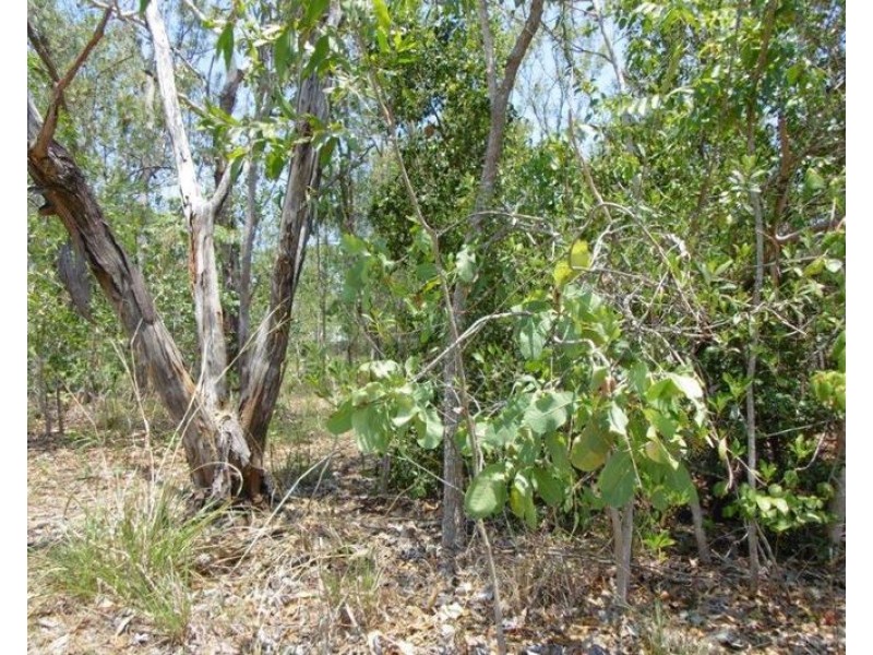 8 Head Court, Wagait Beach NT 0822