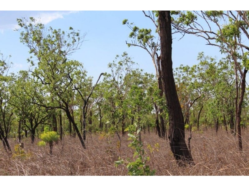 226. Northstar Road, Acacia Hills NT 0822