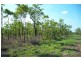 226. Northstar Road, Acacia Hills NT 0822