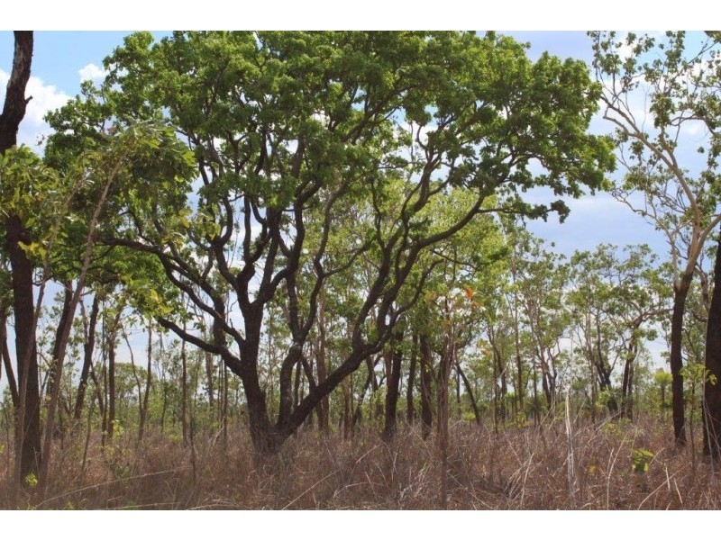226. Northstar Road, Acacia Hills NT 0822
