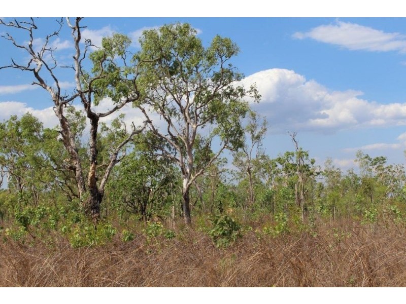 226. Northstar Road, Acacia Hills NT 0822