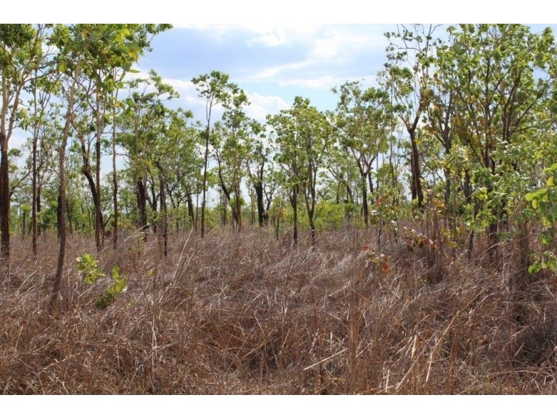 226. Northstar Road, Acacia Hills NT 0822