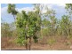 226. Northstar Road, Acacia Hills NT 0822