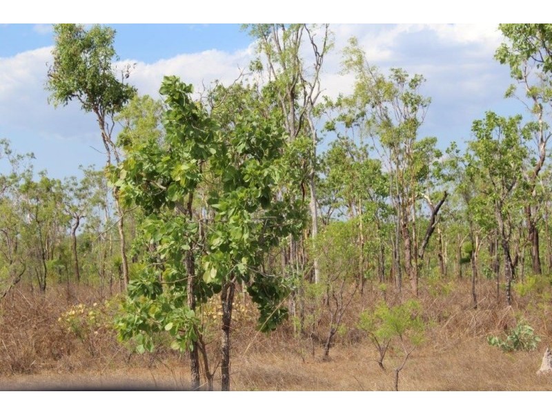 226. Northstar Road, Acacia Hills NT 0822