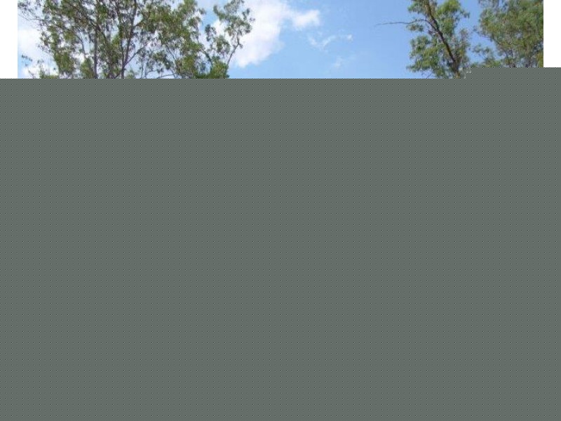 15 Moonfish Road, Dundee Downs NT 0840