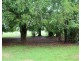 630 Litchfield Park Road, Batchelor NT 0845