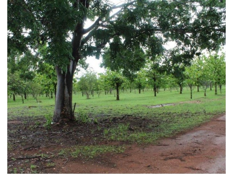 630 Litchfield Park Road, Batchelor NT 0845