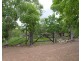 55 Milton Road, Adelaide River NT 0846