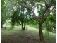 55 Milton Road, Adelaide River NT 0846