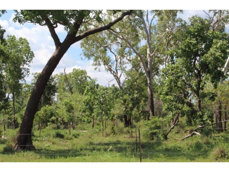 115 Whitstone Road, Acacia Hills NT 0822