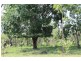115 Whitstone Road, Acacia Hills NT 0822