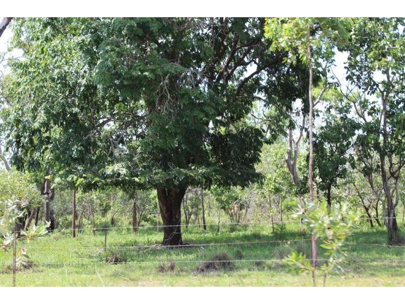 115 Whitstone Road, Acacia Hills NT 0822