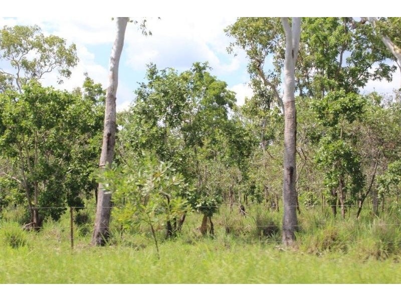 115 Whitstone Road, Acacia Hills NT 0822