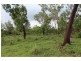 115 Whitstone Road, Acacia Hills NT 0822