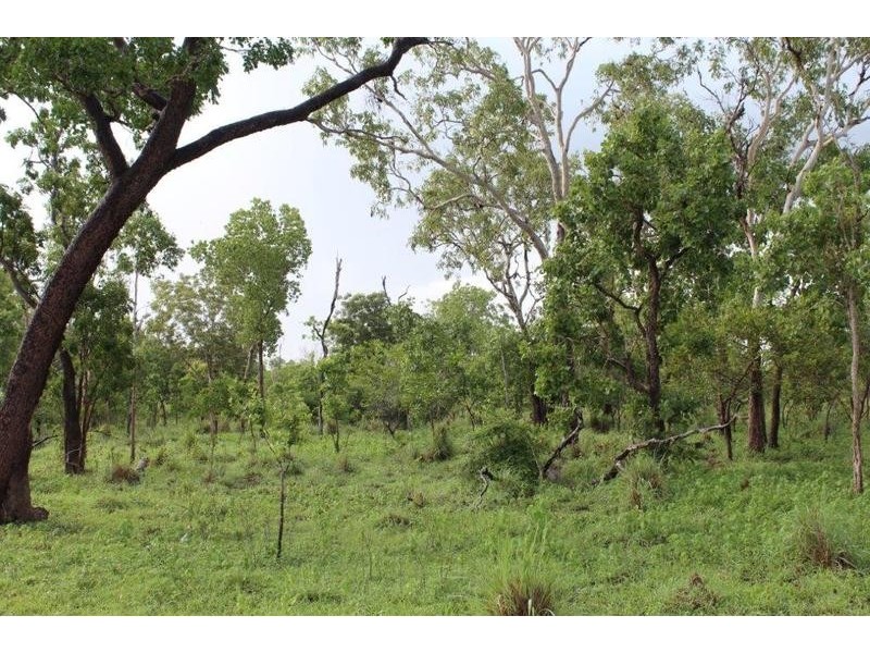 115 Whitstone Road, Acacia Hills NT 0822